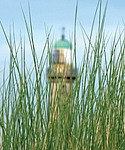 Leuchtturm hinter Dünengras